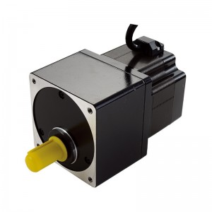 Stepper Motor