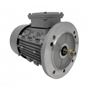 Asynchronous AC Motor