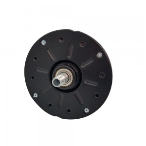 8812 Series BLDC Motor