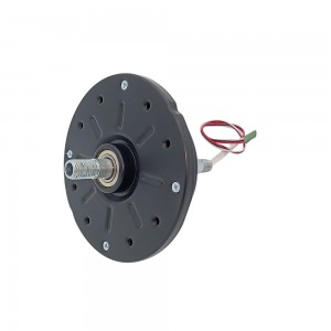 8812 Series BLDC Motor