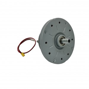 Fırçasız DC Motor